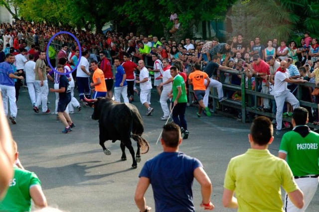 Alexander Fiske-Harrison, circled, with the bull which killed a 66-year-old man on the morning in question in Cuéllar. Note the colour of the horn (Photo © Antonio Tanarro / El Norte de Castilla)